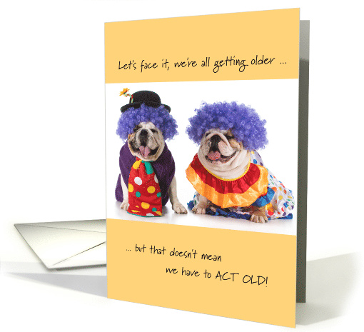 Birthday - Old Dogs with Funny Clown Costumes card (1192612)