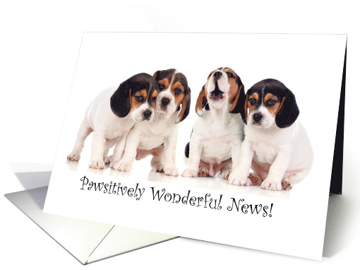 Congratulations on New Puppy Litter card (1215848)