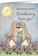 Granddaughter, Somebunny Loves You! Easter Bunny in flower field card