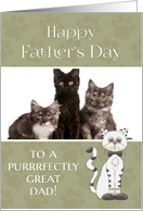 From Cat on Father's...