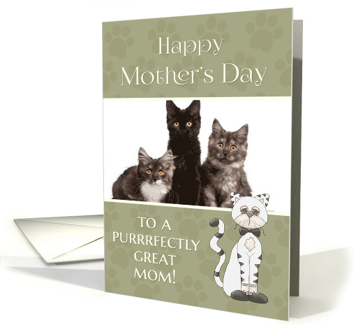 From Cat on Mother's Day custom photo card (1287552)