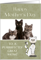 From Cat on Mother’s Day custom photo card
