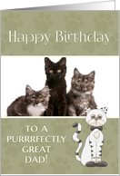 From Cat to Dad on Birthday custom photo card
