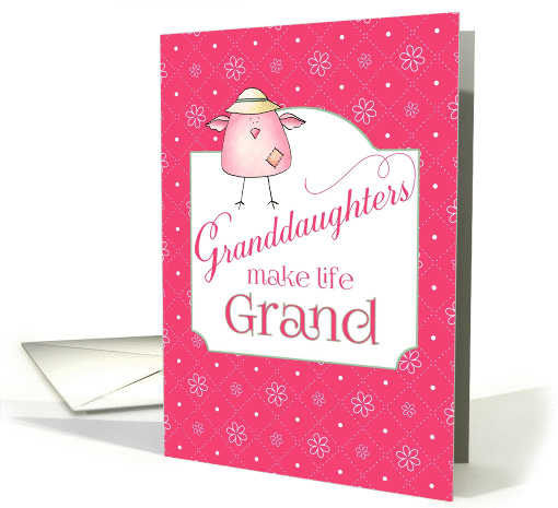 Congratulations New Granddaughter - Grandbabies Make Life Grand card