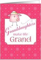 Congratulations New Granddaughter - Grandbabies Make Life Grand card