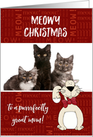 Meowy Christmas to Mom from Cat(s) - Custom Photo & Name card