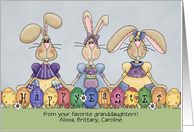 Happy Easter, from custom name / relationship - Bunnies & Eggs card