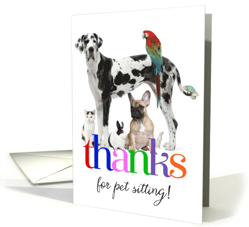 Thanks for pet sitting, any animal colorful custom photo card