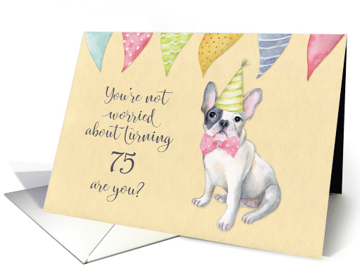 Happy 75th Birthday Worried Bulldog Party Hat and Banners card