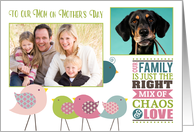 Mother’s Day Family Chaos and Love Birds w/Two Photos card