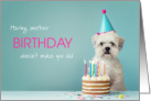 Another Birthday Old Dog Eating Cake card