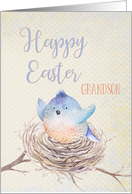 To Grandson, Happy Easter Blue Bird in Nest card
