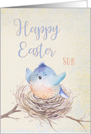 To Son, Happy Easter Blue Bird in Nest card