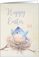 To Son, Happy Easter...