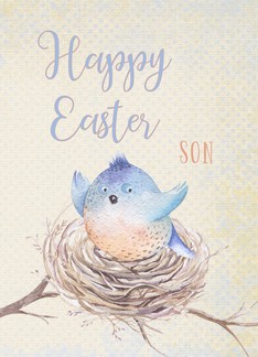 To Son, Happy Easter...