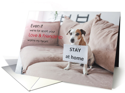 Covid 19 Encouragement Stay at Home Puppy card (1607548)