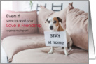 Covid 19 Encouragement Stay at Home Puppy card