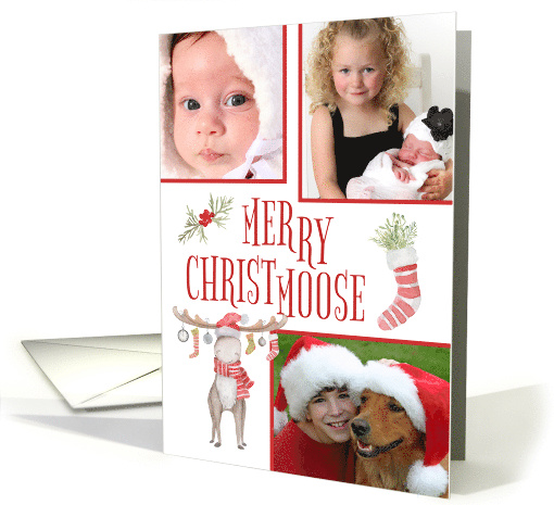 Merry Christmoose Custom Three Photo Christmas Moose card (1658686)