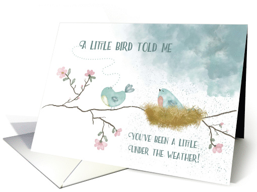 Get Well A Little Bird Told Me You've Been a Little under... (1692388)