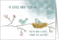 Get Well A Little Bird Told Me You’ve Been a Little under the Weather card