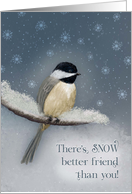 Winter Birthday There’s Snow Better Friend than You Chickadee card