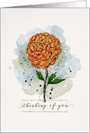 Thinking of You Watercolor Sketchy Doodle Orange Marigold Flower card