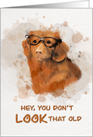 Birthday Old Dog with Glasses in Messy Watercolor card