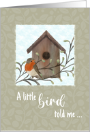 Feel Better Soon Little Bird and Birdhouse card