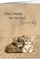 Congratulations New Cat or Kitten Furry Friends are Best Friends card