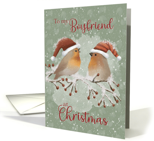 To Boyfriend at Christmas Birds with Santa Hats on Snowy Limb card