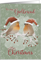 To Girlfriend at Christmas Birds with Santa Hats on Snowy Limb card