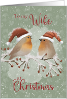 To Wife at Christmas Birds with Santa Hats on Snowy Limb card