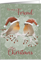 To Friend at Christmas Birds with Santa Hats on Snowy Limb card
