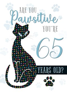 65th Birthday Cat...