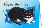 Birthday - Pet Parents - Cats card