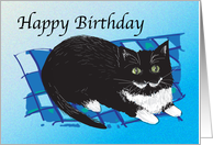 Birthday - Pet...