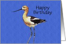 Avocet Birthday card