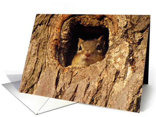 Congratulations on your new home Chipmunk in Tree card (1052183)