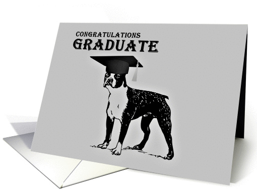 Congratulations Graduation with Boston Terrier card (1092512)