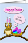 Easter Owl Bunny on Branch with Easter Eggs - funny, owl, easter eggs, card