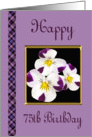 Happy 75th Birthday - Johnny Jump-Up Flowers card