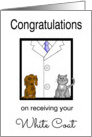 Veterinarian White Coat Congratulations -White Coat, Kitten & Puppy card
