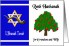 Rosh Hashanah for Grandson and Wife - Apple Tree, Star of David card