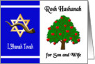 Rosh Hashanah for Son and Wife - Apple Tree, Star of David card