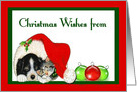 Christmas Wishes - Sleeping Puppy & Kitten, Santa Hat card