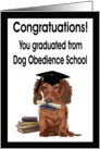 Congratulations Dog Obedience Graduation Card - Dog, Diploma & Books card