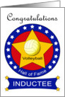 Volleyball Hall of Fame Induction - Volleyball & Stars card