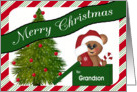 Christmas for Grandson, Baby bear, Christmas tree card