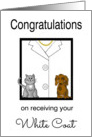 Female Veterinarian White Coat Congratulations - White Coat, Dog & Cat card