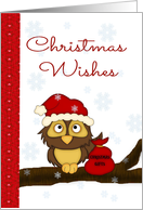 Christmas Wishes Card - Santa Owl & Gifts card
